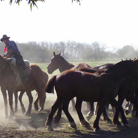 בית הארחה דייגו גיינור 	Estancia Don Silvano מראה חיצוני תמונה