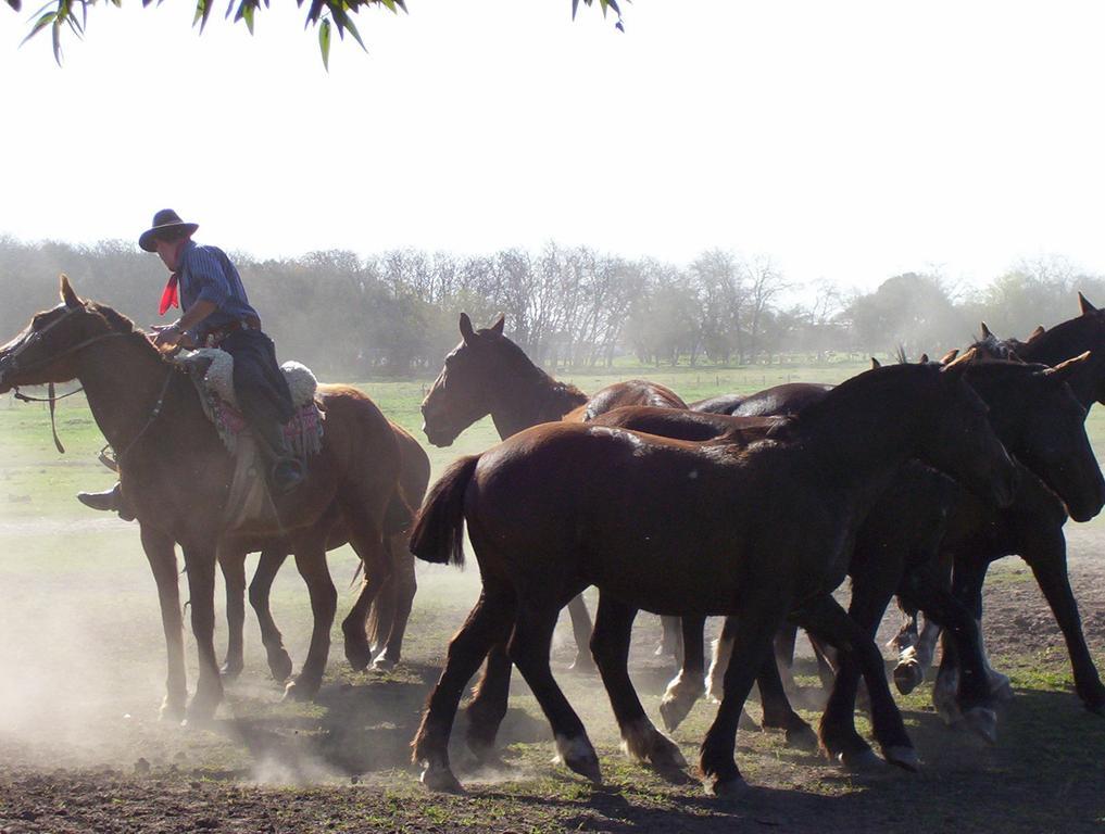 בית הארחה דייגו גיינור 	Estancia Don Silvano מראה חיצוני תמונה
